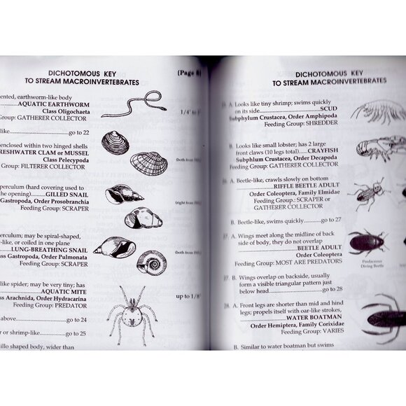 The Streamkeeper's Field Guide | Watershed Monitoring Manual (2001) - Picture 7 of 8